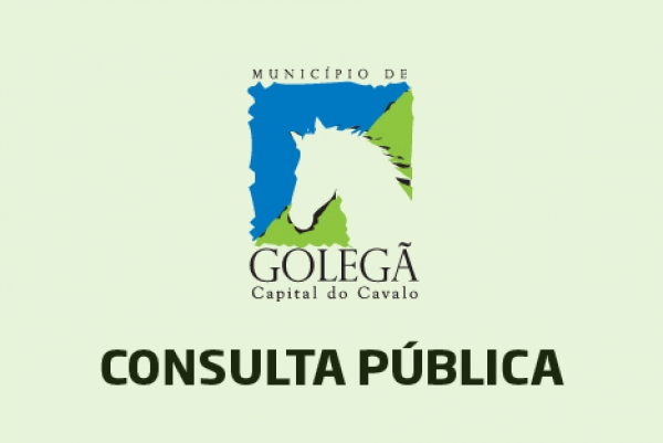 Projeto de Regulamento de Publicidade e Ocupação do Espaço Público do município de Golegã