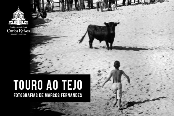 Exposição de fotografias &quot;Touro ao Tejo&quot;, de Marcos Fernandes.