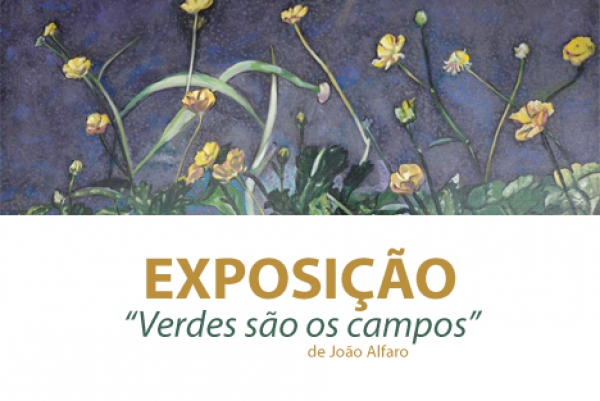 Exposição &quot;Verdes são os campos&quot; de João Alfaro